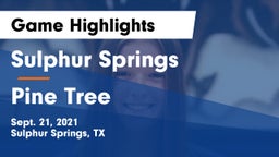 Sulphur Springs  vs Pine Tree  Game Highlights - Sept. 21, 2021
