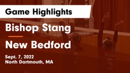 Bishop Stang  vs New Bedford  Game Highlights - Sept. 7, 2022