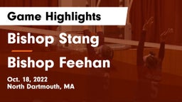 Bishop Stang  vs Bishop Feehan  Game Highlights - Oct. 18, 2022
