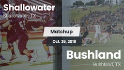 Matchup: Shallowater High vs. Bushland  2018