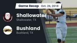 Recap: Shallowater  vs. Bushland  2018