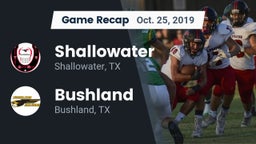 Recap: Shallowater  vs. Bushland  2019