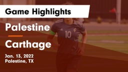 Palestine  vs Carthage  Game Highlights - Jan. 13, 2022