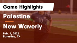 Palestine  vs New Waverly Game Highlights - Feb. 1, 2022