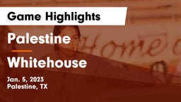 Palestine  vs Whitehouse  Game Highlights - Jan. 5, 2023