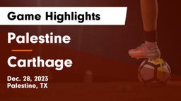 Palestine  vs Carthage  Game Highlights - Dec. 28, 2023