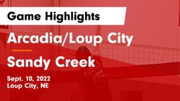 Arcadia/Loup City  vs Sandy Creek  Game Highlights - Sept. 10, 2022