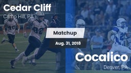 Matchup: Cedar Cliff High vs. Cocalico  2018