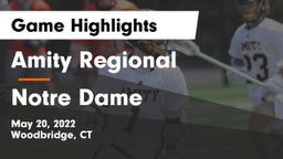 Amity Regional  vs Notre Dame  Game Highlights - May 20, 2022