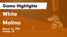 White  vs Molina  Game Highlights - March 24, 2022