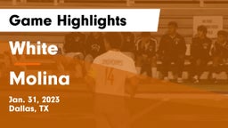 White  vs Molina  Game Highlights - Jan. 31, 2023