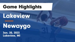 Lakeview  vs Newaygo  Game Highlights - Jan. 20, 2023