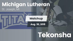 Matchup: Michigan Lutheran vs. Tekonsha  2018