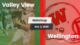 Matchup: Valley View High vs. Wellington  2020