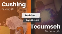 Matchup: Cushing  vs. Tecumseh  2018