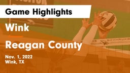 Wink  vs Reagan County  Game Highlights - Nov. 1, 2022