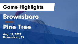 Brownsboro  vs Pine Tree  Game Highlights - Aug. 17, 2023