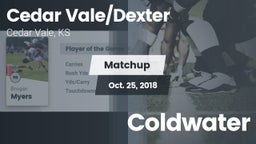 Matchup: Cedar Vale/Dexter Hi vs. Coldwater  2018