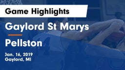 Gaylord St Marys vs Pellston  Game Highlights - Jan. 16, 2019