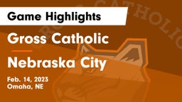 Gross Catholic  vs Nebraska City  Game Highlights - Feb. 14, 2023