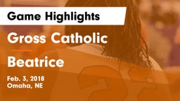 Gross Catholic  vs Beatrice  Game Highlights - Feb. 3, 2018