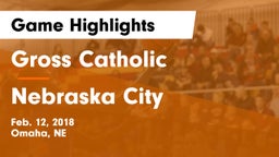 Gross Catholic  vs Nebraska City  Game Highlights - Feb. 12, 2018