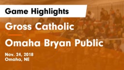 Gross Catholic  vs Omaha Bryan Public  Game Highlights - Nov. 24, 2018