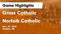 Gross Catholic  vs Norfolk Catholic  Game Highlights - Nov. 29, 2018