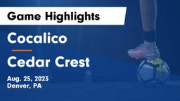 Cocalico  vs Cedar Crest  Game Highlights - Aug. 25, 2023