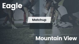 Matchup: Eagle  vs. Mountain View High 2016