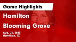 Hamilton  vs Blooming Grove  Game Highlights - Aug. 26, 2023