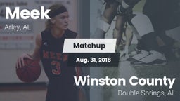 Matchup: Meek  vs. Winston County 2018