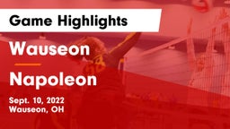 Wauseon  vs Napoleon Game Highlights - Sept. 10, 2022