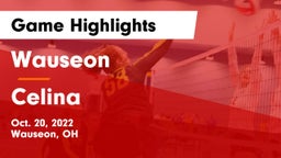 Wauseon  vs Celina Game Highlights - Oct. 20, 2022