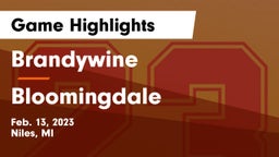 Brandywine  vs Bloomingdale  Game Highlights - Feb. 13, 2023