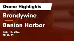 Brandywine  vs Benton Harbor  Game Highlights - Feb. 17, 2023