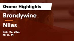 Brandywine  vs Niles  Game Highlights - Feb. 22, 2023