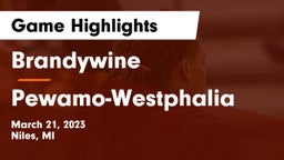 Brandywine  vs Pewamo-Westphalia  Game Highlights - March 21, 2023
