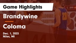 Brandywine  vs Coloma  Game Highlights - Dec. 1, 2023