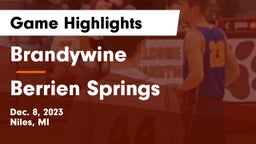 Brandywine  vs Berrien Springs  Game Highlights - Dec. 8, 2023