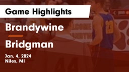 Brandywine  vs Bridgman  Game Highlights - Jan. 4, 2024