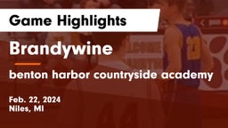 Brandywine  vs benton harbor countryside academy Game Highlights - Feb. 22, 2024