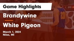 Brandywine  vs White Pigeon  Game Highlights - March 1, 2024