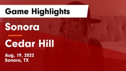 Sonora  vs Cedar Hill  Game Highlights - Aug. 19, 2022