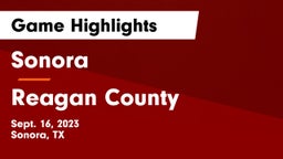 Sonora  vs Reagan County  Game Highlights - Sept. 16, 2023