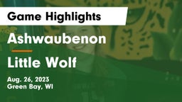 Ashwaubenon  vs Little Wolf  Game Highlights - Aug. 26, 2023