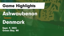 Ashwaubenon  vs Denmark  Game Highlights - Sept. 9, 2023