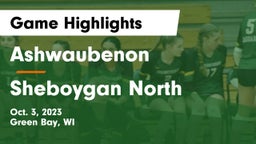 Ashwaubenon  vs Sheboygan North  Game Highlights - Oct. 3, 2023