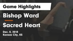 Bishop Ward  vs Sacred Heart  Game Highlights - Dec. 8, 2018