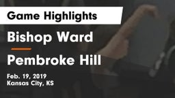 Bishop Ward  vs Pembroke Hill Game Highlights - Feb. 19, 2019